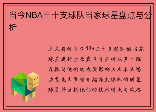 当今NBA三十支球队当家球星盘点与分析