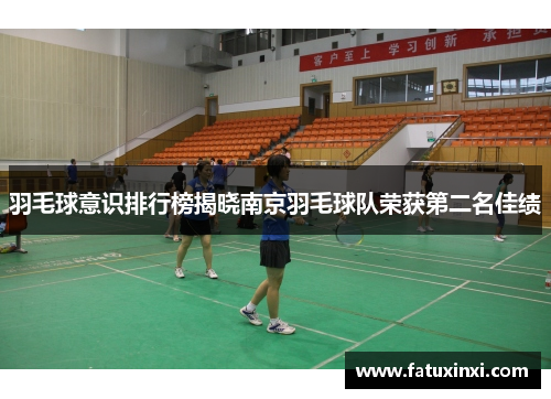 羽毛球意识排行榜揭晓南京羽毛球队荣获第二名佳绩